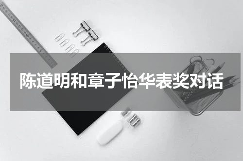 陈道明和章子怡华表奖对话