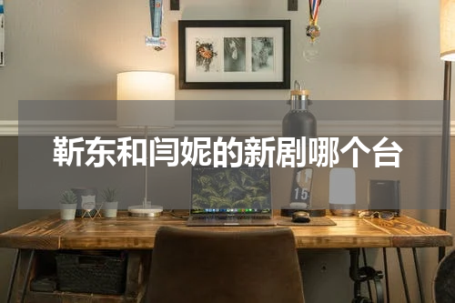 靳东和闫妮的新剧哪个台