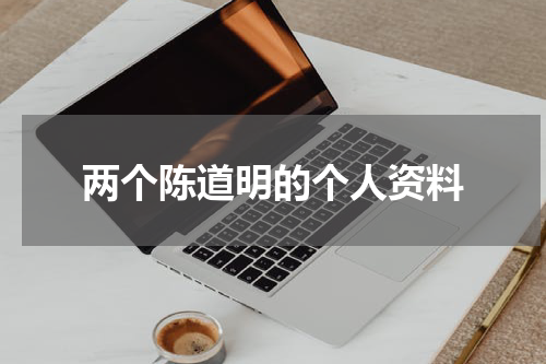 两个陈道明的个人资料