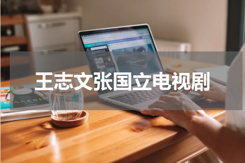 王志文张国立电视剧