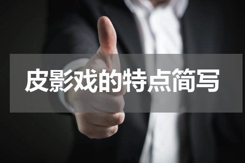 皮影戏的特点简写