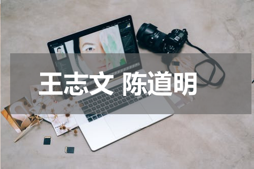 王志文 陈道明