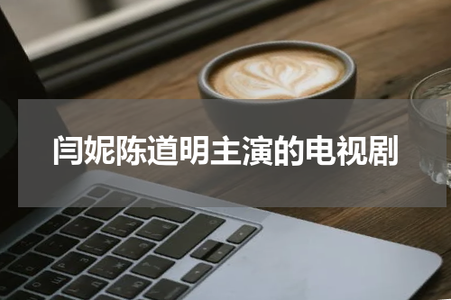 闫妮陈道明主演的电视剧
