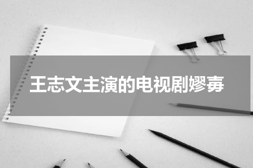 王志文主演的电视剧嫪毐