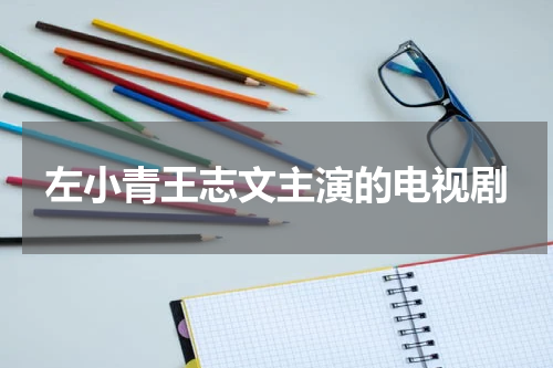 左小青王志文主演的电视剧