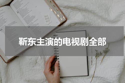 靳东主演的电视剧全部