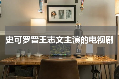 史可罗晋王志文主演的电视剧