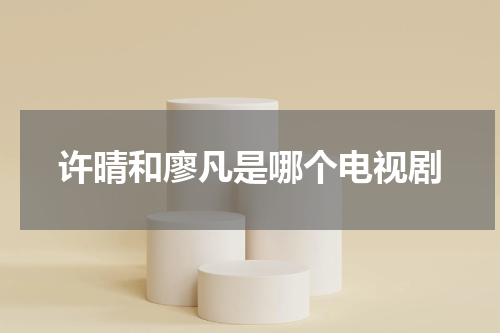 许晴和廖凡是哪个电视剧