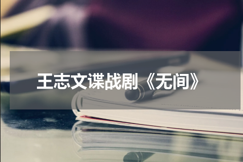 王志文谍战剧《无间》
