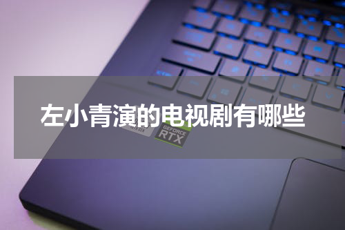左小青演的电视剧有哪些