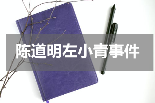 陈道明左小青事件