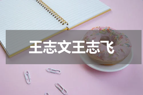 王志文王志飞
