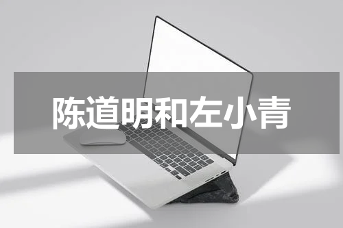 陈道明和左小青