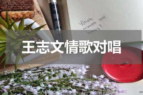 王志文情歌对唱