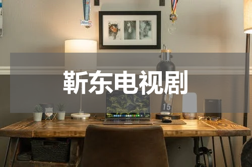 靳东电视剧