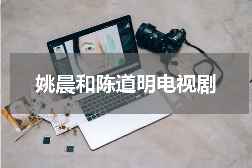 姚晨和陈道明电视剧