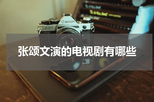 张颂文演的电视剧有哪些