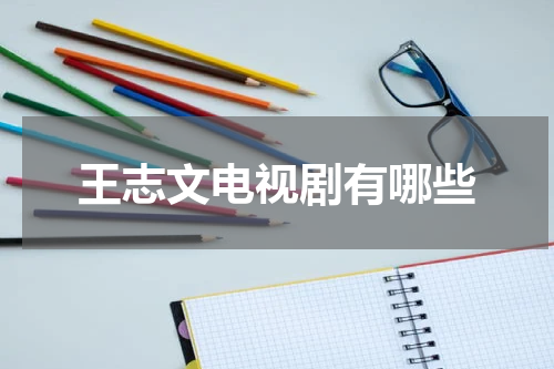 王志文电视剧有哪些