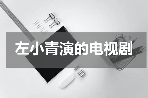 左小青演的电视剧