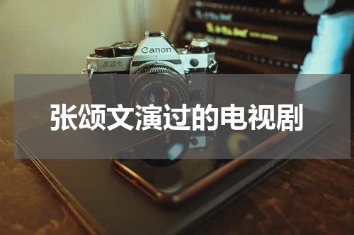 张颂文演过的电视剧