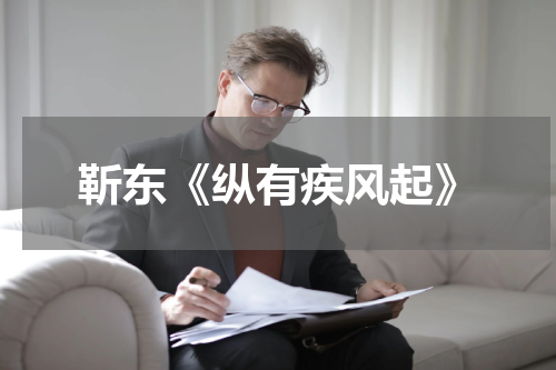 靳东《纵有疾风起》
