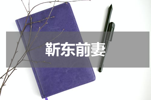 靳东前妻
