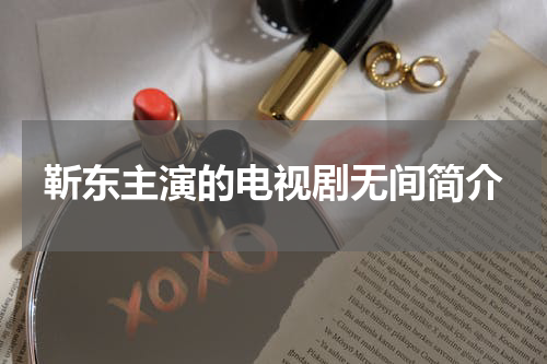 靳东主演的电视剧无间简介