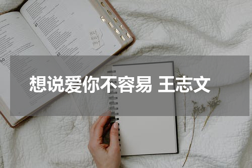 想说爱你不容易 王志文