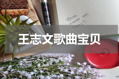 王志文歌曲宝贝