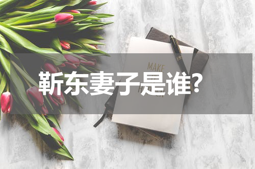 靳东妻子是谁?