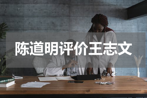 陈道明评价王志文