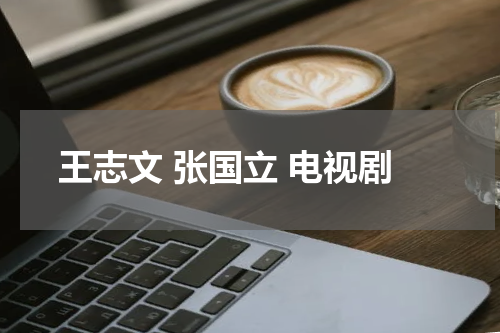 王志文 张国立 电视剧