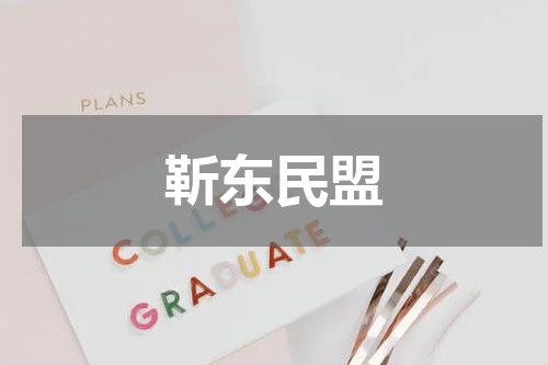靳东民盟