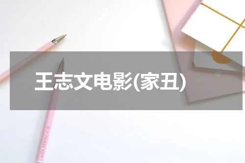 王志文电影(家丑)