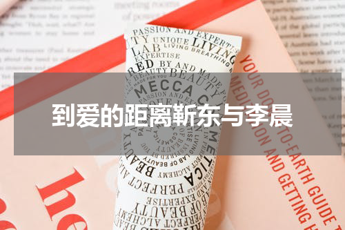 到爱的距离靳东与李晨