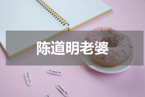 陈道明老婆