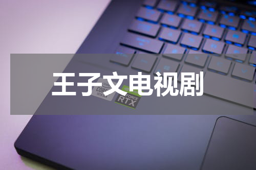 王子文电视剧