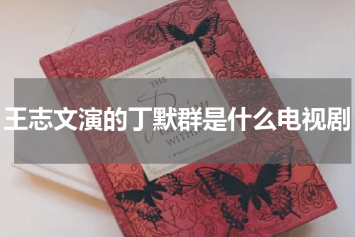 王志文演的丁默群是什么电视剧
