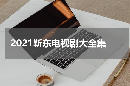 2021靳东电视剧大全集
