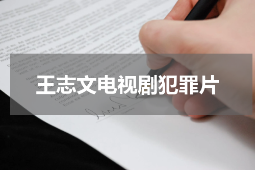 王志文电视剧犯罪片