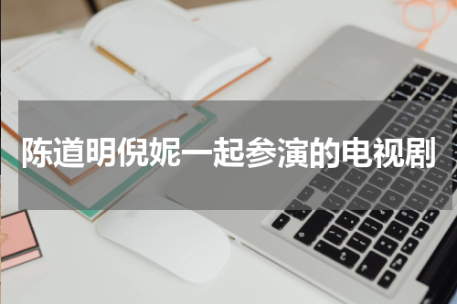 陈道明倪妮一起参演的电视剧