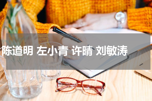 陈道明 左小青 许晴 刘敏涛