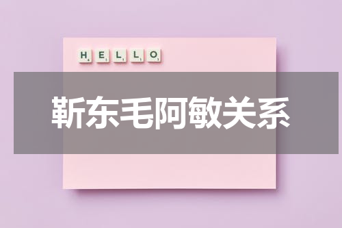 靳东毛阿敏关系