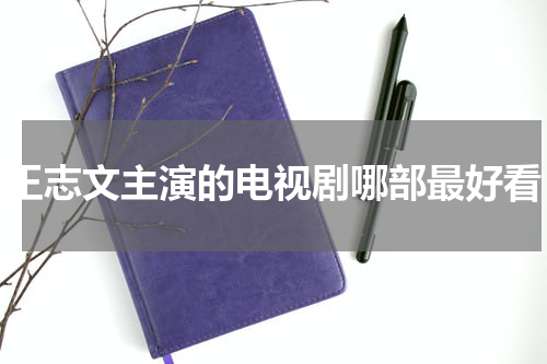 王志文主演的电视剧哪部最好看