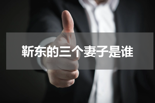 靳东的三个妻子是谁