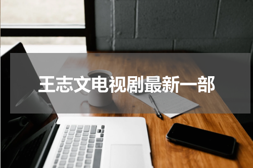 王志文电视剧最新一部