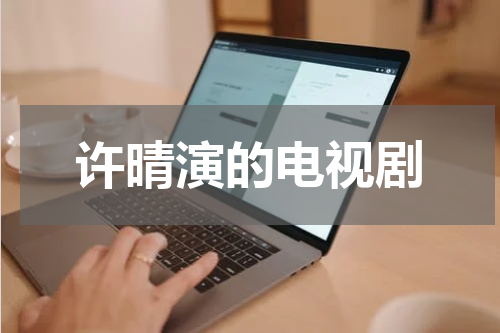 许晴演的电视剧