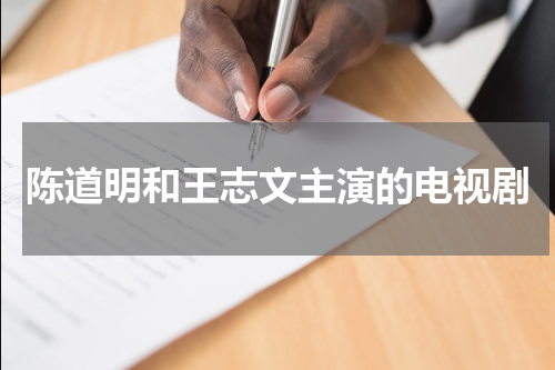 陈道明和王志文主演的电视剧