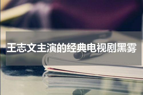 王志文主演的经典电视剧黑雾