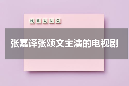 张嘉译张颂文主演的电视剧